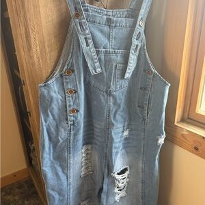 Distressed Denim Overalls